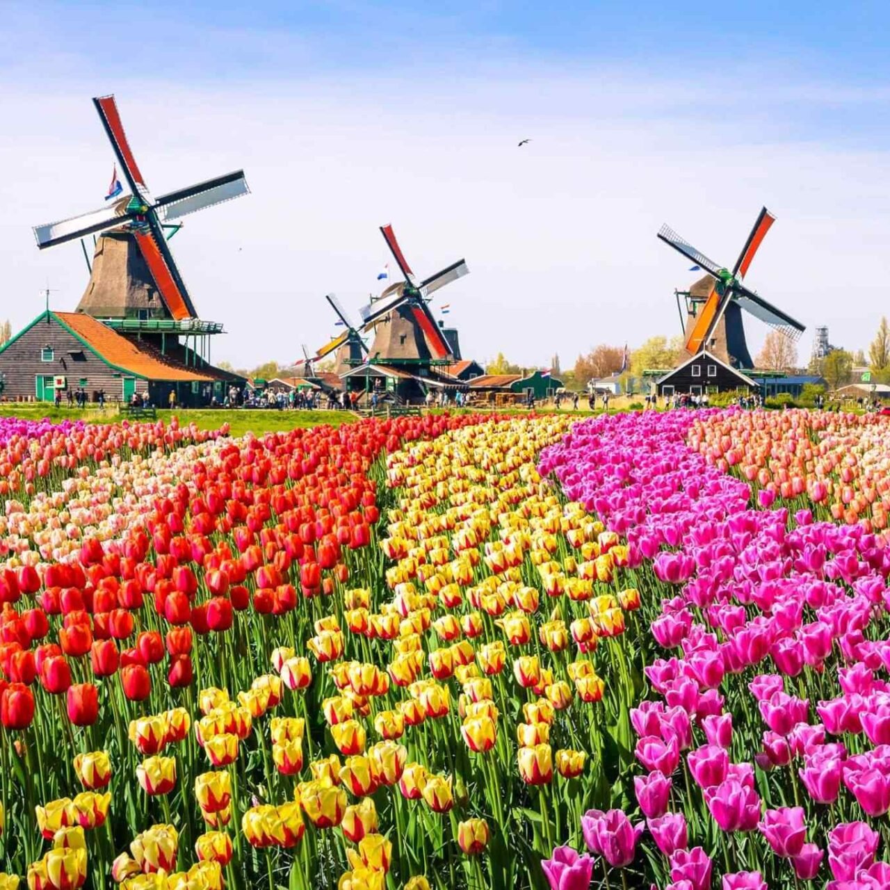 https://atlasfamilyadventure.com/wp-content/uploads/2018/09/destination-netherlands-01-1280x1280.jpg