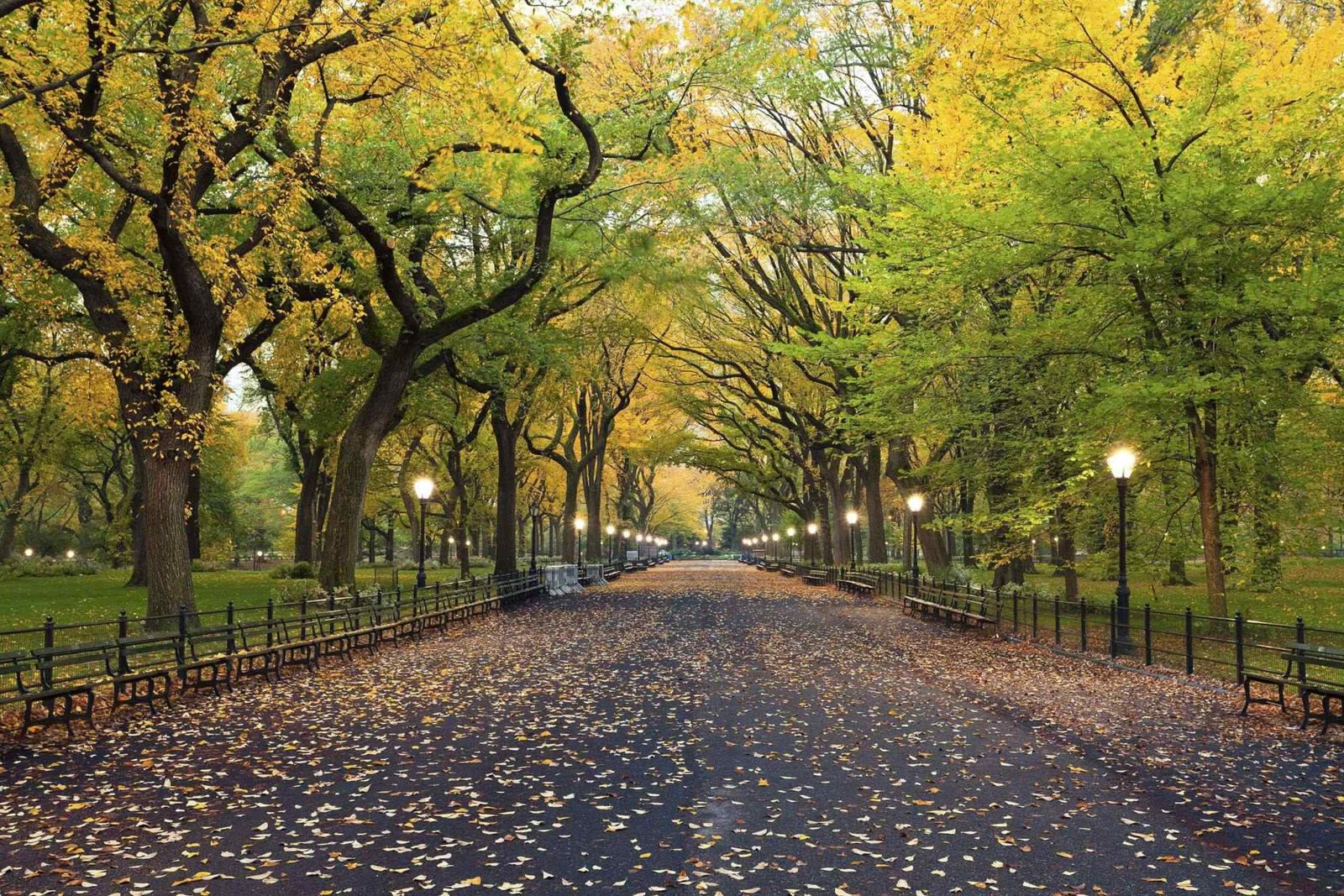 https://atlasfamilyadventure.com/wp-content/uploads/2018/09/destination-new-york-02.jpg