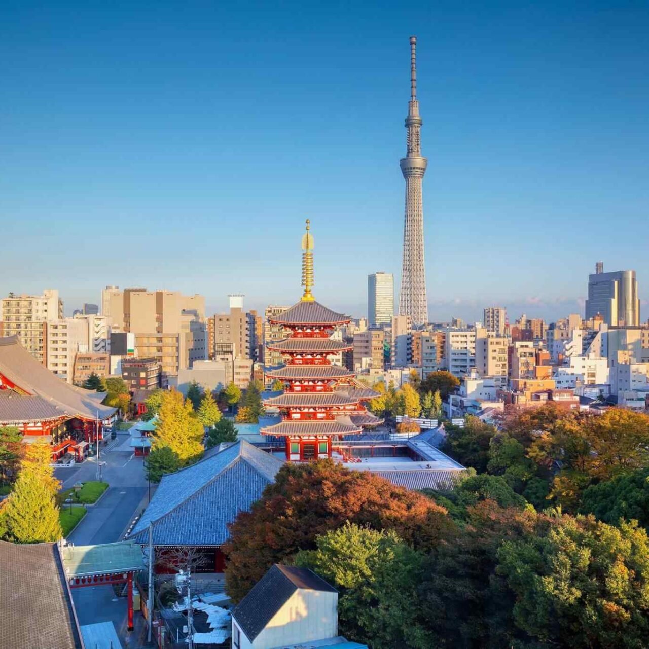 https://atlasfamilyadventure.com/wp-content/uploads/2018/09/destination-tokyo-04-1280x1280.jpg