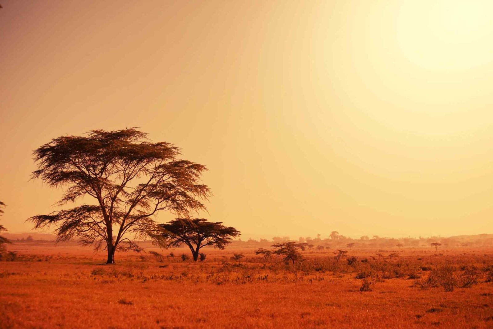 https://atlasfamilyadventure.com/wp-content/uploads/2018/09/tour-africa-02.jpg