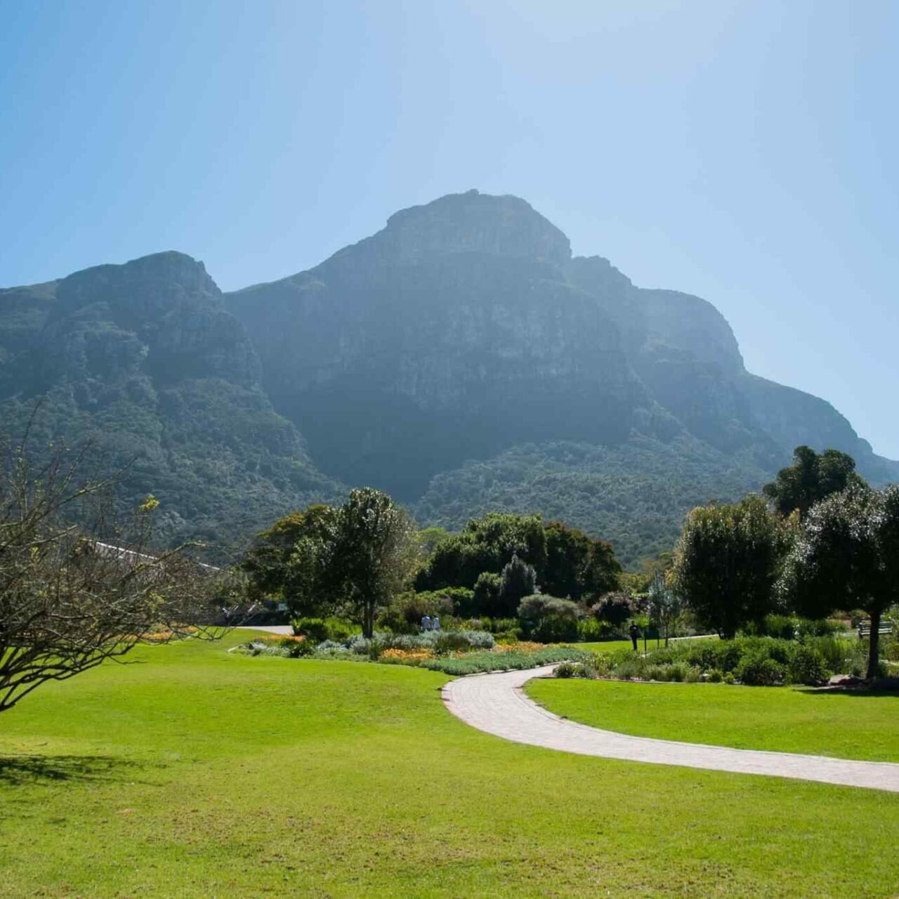 https://atlasfamilyadventure.com/wp-content/uploads/2018/09/tour-capetown-03-1280x1280.jpg