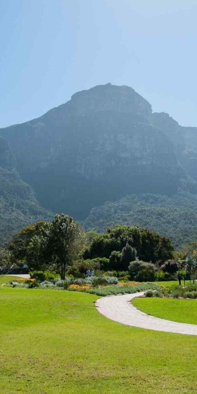 https://atlasfamilyadventure.com/wp-content/uploads/2018/09/tour-capetown-03-640x1280.jpg