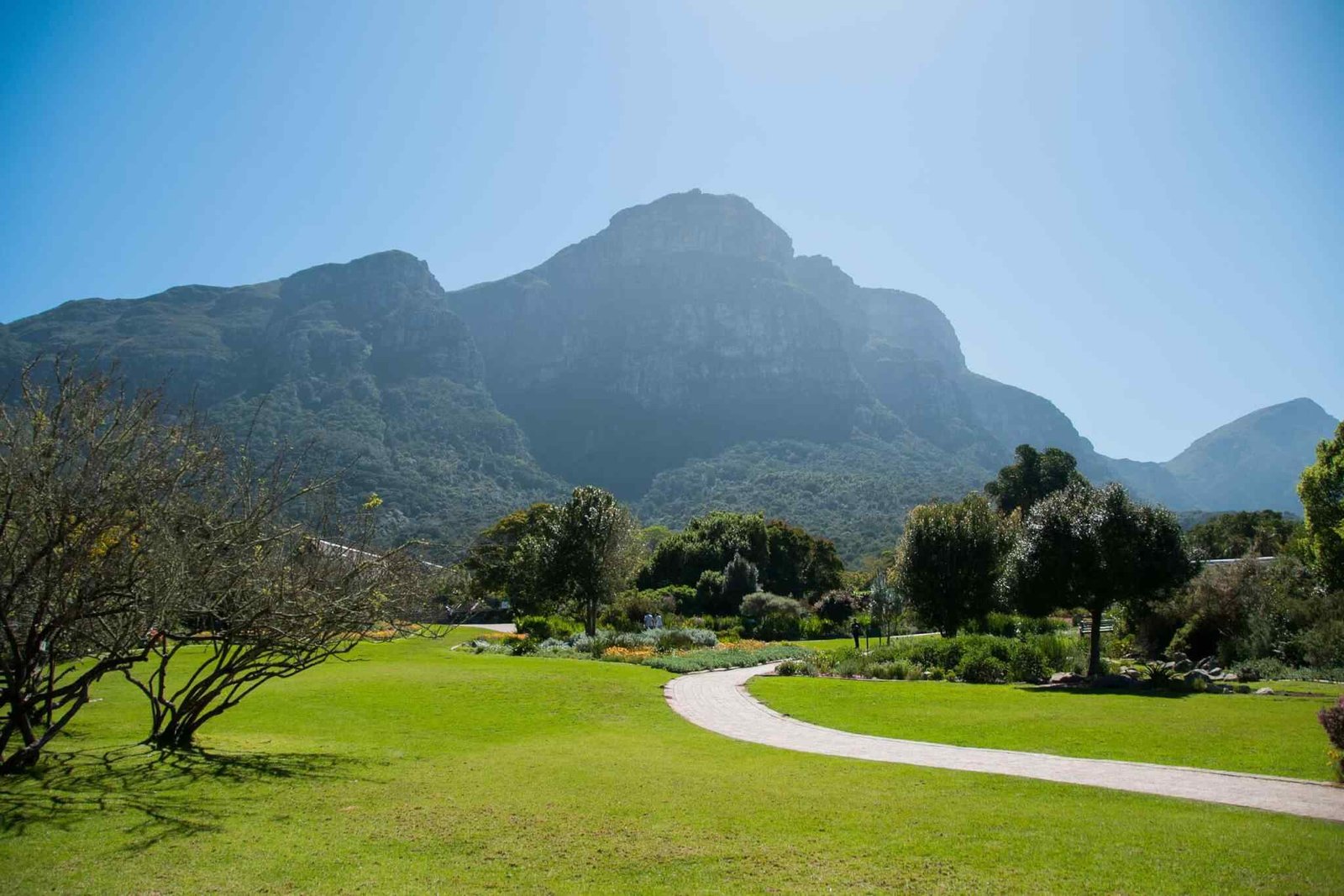 https://atlasfamilyadventure.com/wp-content/uploads/2018/09/tour-capetown-03.jpg