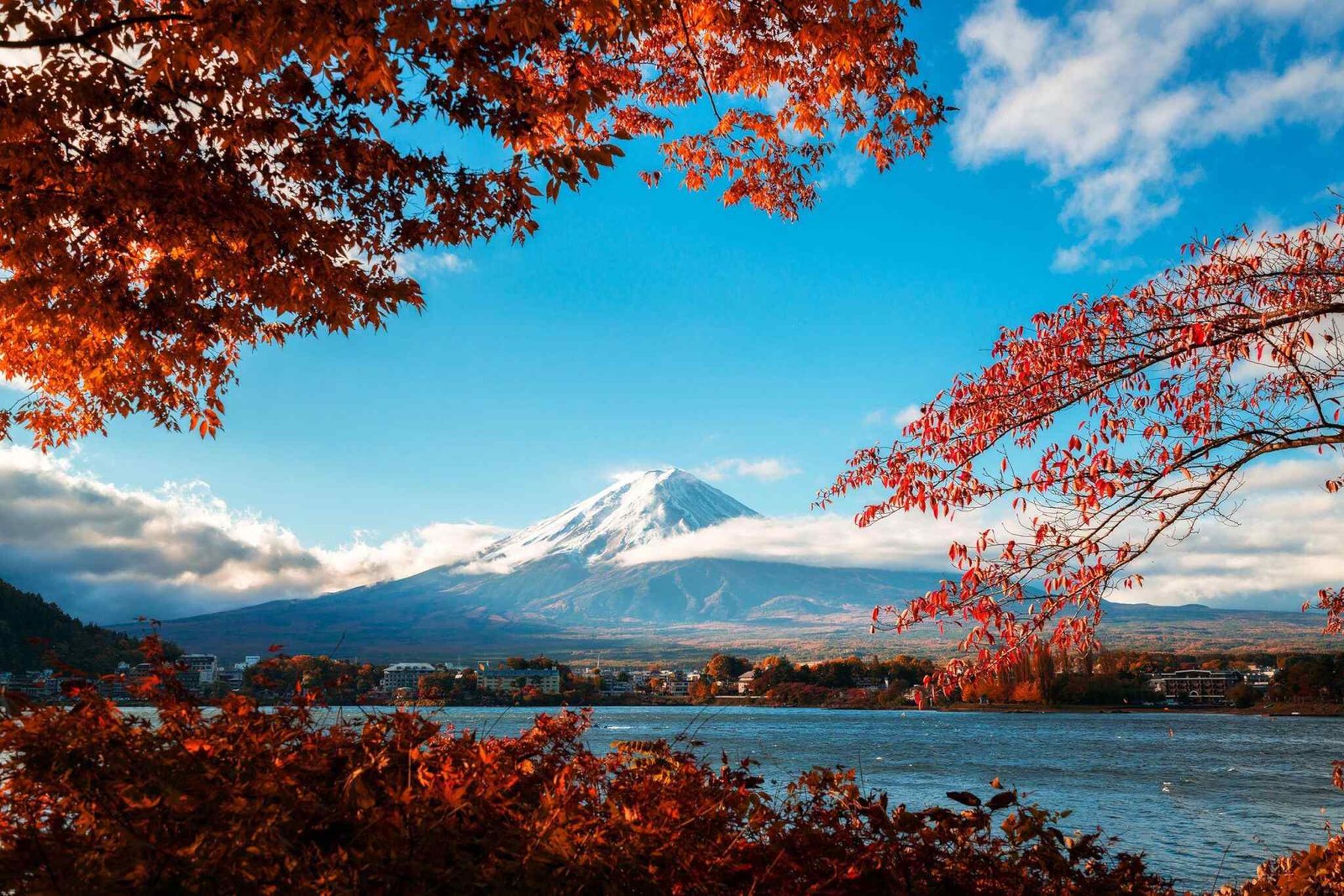 https://atlasfamilyadventure.com/wp-content/uploads/2018/09/tour-fuji-04.jpg