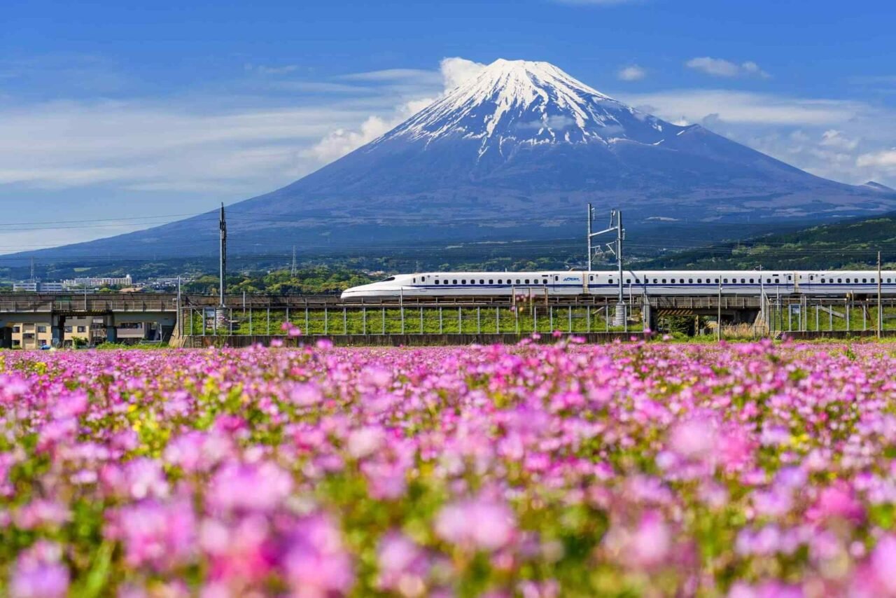 https://atlasfamilyadventure.com/wp-content/uploads/2018/09/tour-osaka-04-1280x854.jpg