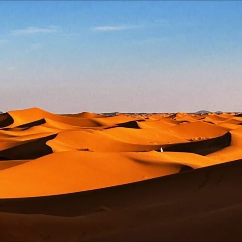 5-Day Desert Trek in the Draa Valley